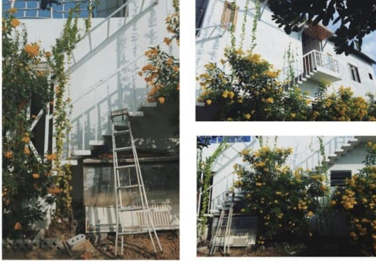 Villa Dao Hoa Vang Cam Ranh - Venuestay Exterior foto