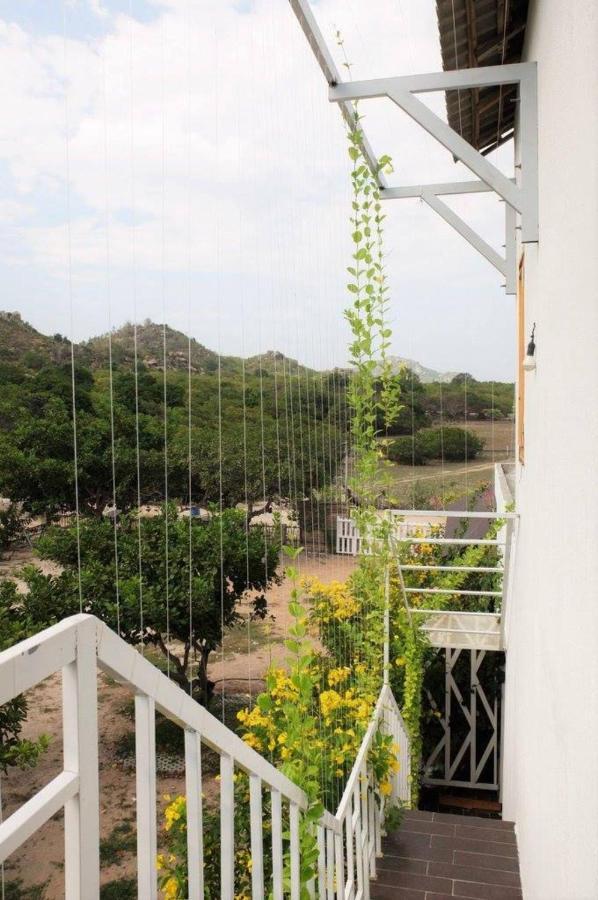 Villa Dao Hoa Vang Cam Ranh - Venuestay Exterior foto